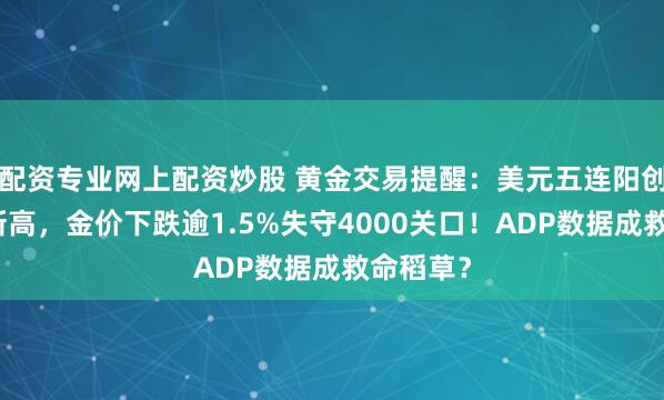 配资专业网上配资炒股 黄金交易提醒：美元五连阳创三个月新高，金价下跌逾1.5%失守4000关口！ADP数据成救命稻草？